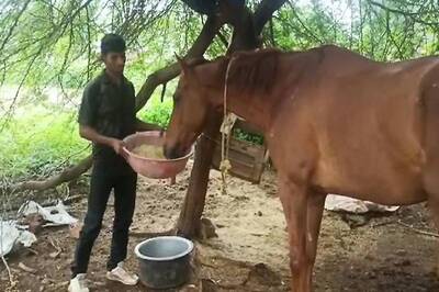 Schools Teacher Asks For Six-Month’s Pending Salary, Gets a Horse