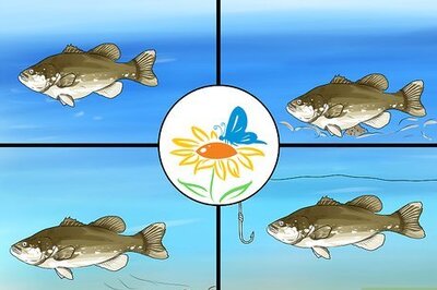 How to Fish for Bass