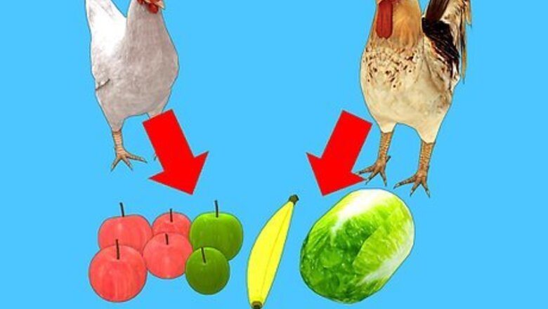 How to Feed Chickens Organically