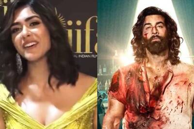 Mrunal Thakur Defends Ranbir Kapoor for Starring in Animal: 'If You Don't Like It Maybe...'