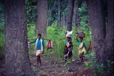 The Voice That Was Never Heard: Tribals Need Their Own Leaders to Represent Their Aspirations