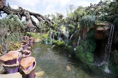 James Cameron Releases Official Avatar 2 Concept Art Of Pandora