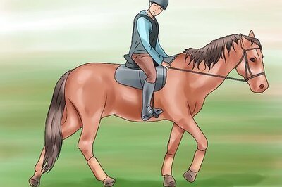 How to Canter With Your Horse