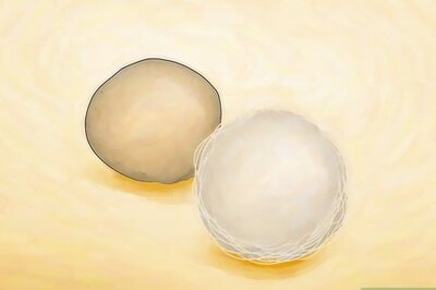 How to Identify Spider Egg Sacs