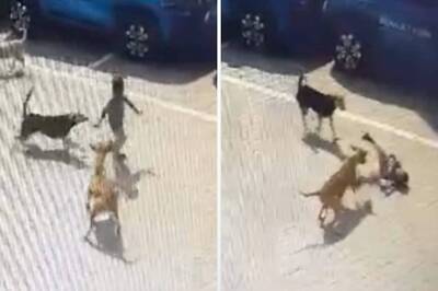 5-Year-Old Mauled to Death by Street Dogs in Hyderabad, CCTV Captures Incident