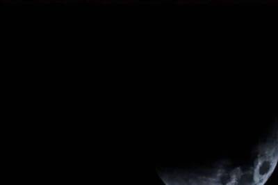 Jyeshtha Amavasya 2024: Astrologer Shares Why Feeding Cows On New Moon Is Important