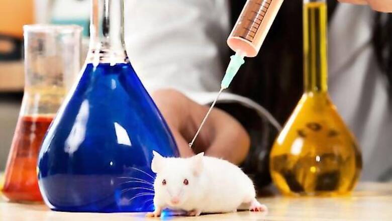 Scientists succeed in turning mice transparent