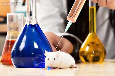 Scientists succeed in turning mice transparent
