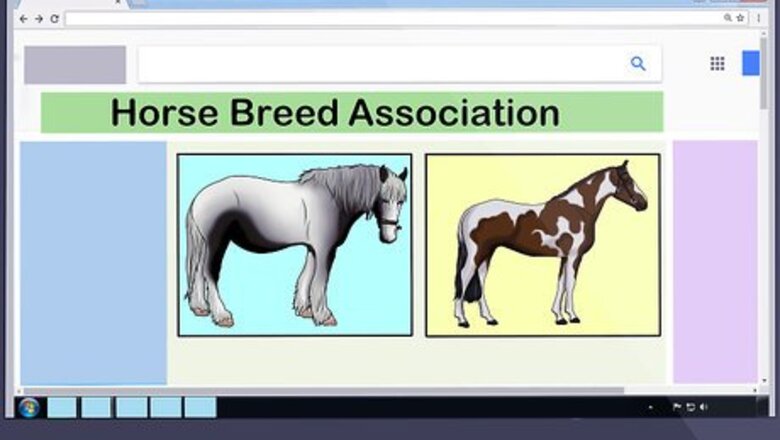 How to Register a Horse