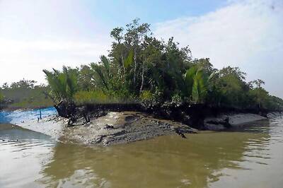 Sundarbans becoming a no-pollution zone in Assembly elections