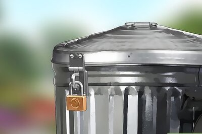 How to Prevent Maggots from Getting in the Trash