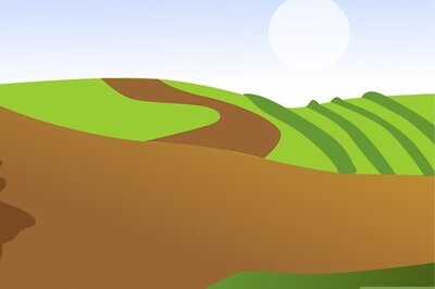 How to Grow Ornamental Flowering Kale Plants