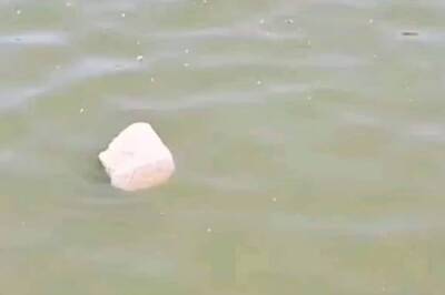 In Gaya's Ramsagar Pond, Four Stones Floating On Water Spotted