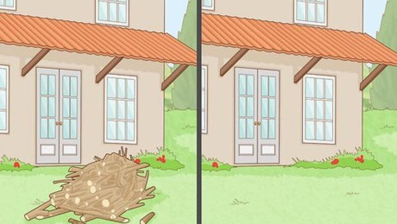 How to Prevent Millipedes
