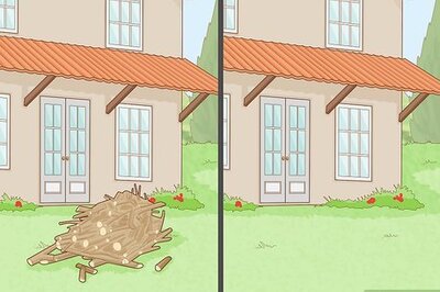 How to Prevent Millipedes