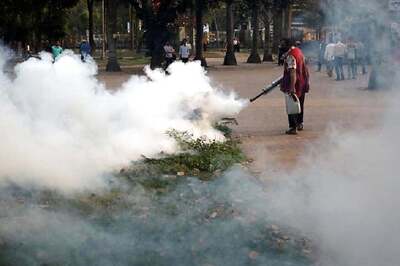 Dengue, Malaria Cases See a Dip in Mumbai This Monsoon