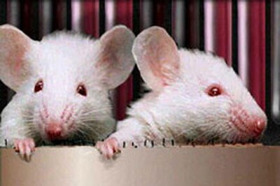 Scientists unlock secret of eternal youth