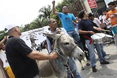 Ecuador officials reject donkey as candidate