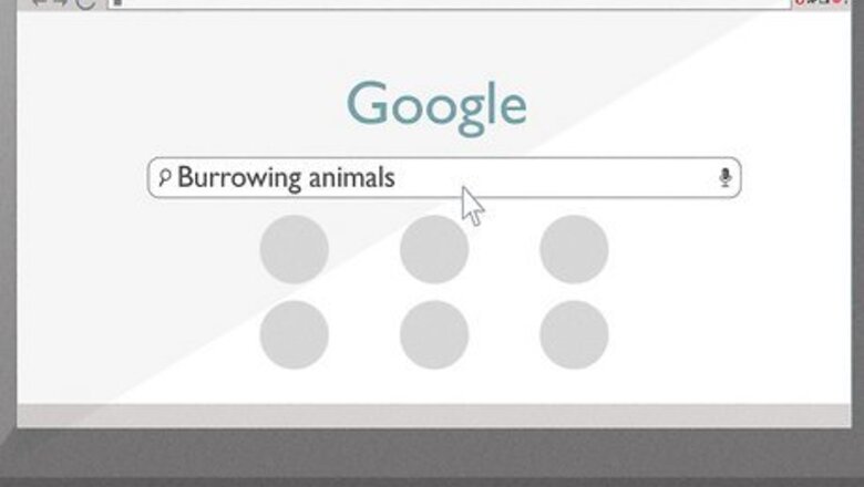 How to Diagnose Animal Holes in Your Yard