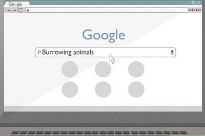 How to Diagnose Animal Holes in Your Yard