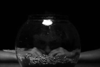 'Kshay' named Best Feature Film at IFFLA