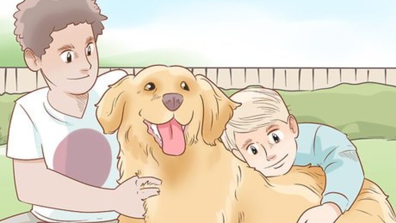 How to Train a Therapy Dog