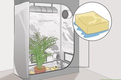 How to Increase Relative Humidity in a Grow Tent
