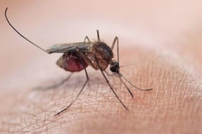 Ghana Becomes Second Country to Launch Vital Malaria Vaccine