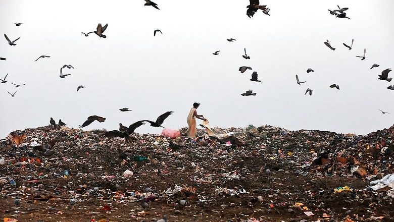 Delhi's Solid Waste Issue a Serious Problem, Says SC, Asks L-G to Set Up Committee