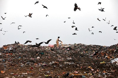 Delhi's Solid Waste Issue a Serious Problem, Says SC, Asks L-G to Set Up Committee