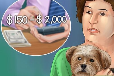 How to Adopt a Dog from Overseas