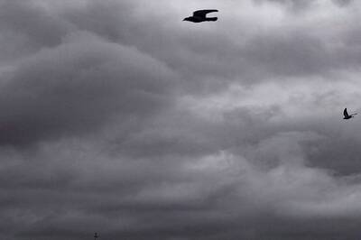 Delhi Recorded Second-best Air Quality During Jan-Sept Period in Six Years: CAQM