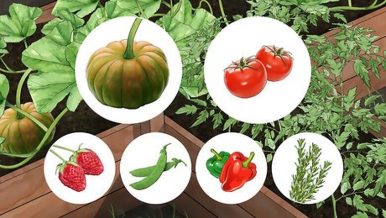 How to Reduce Your Carbon Footprint in the Garden