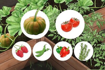 How to Reduce Your Carbon Footprint in the Garden