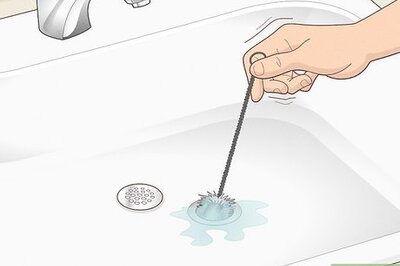 How to Get Rid of Drain Flies