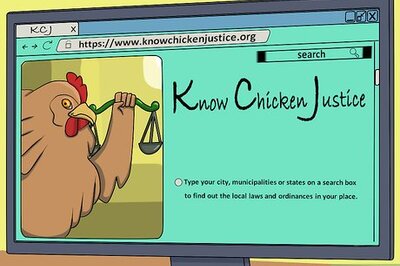 How to Take Care of Chickens