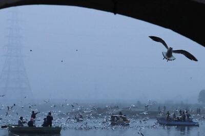 High Ammonia Levels in Yamuna, Water Supply in Delhi to Be Hit