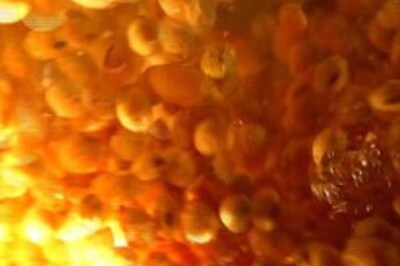 US farmers in India to promote Soya