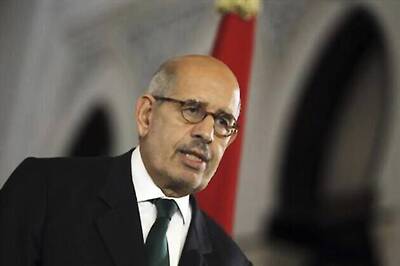 ElBaradei quits Egypt government, other liberals stay