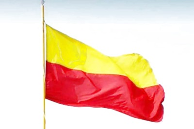 Cannot Accept Proposed Karnataka Flag Design, Says Pro-Kannada Group Leader