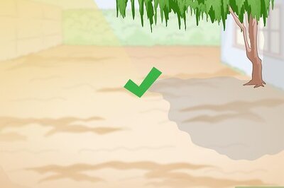 How to Build a Frog Pond