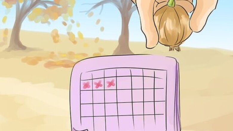 How to Plow a Field