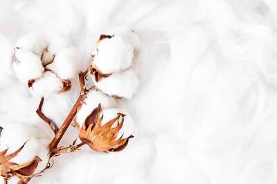 Cotton Prices Started Softening Of Late, Govt To Formulate PLI 2.0 For Textiles: Secretary