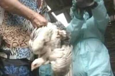 Govt steps up efforts to contain bird flu