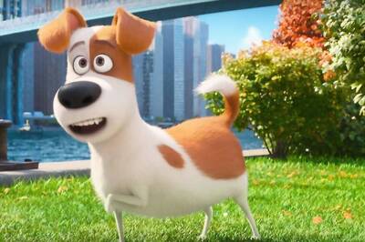 'The Secret Life Of Pets' Is a Fluffy, Fun Ride