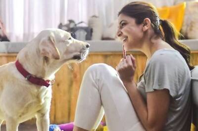 Anushka Sharma Announces Shelter for Homeless Animals On Her 30th Birthday