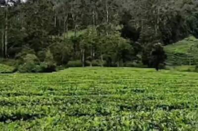 This Tamil Nadu Hill Station Is Perfect Destination To Beat The Heat This Summer