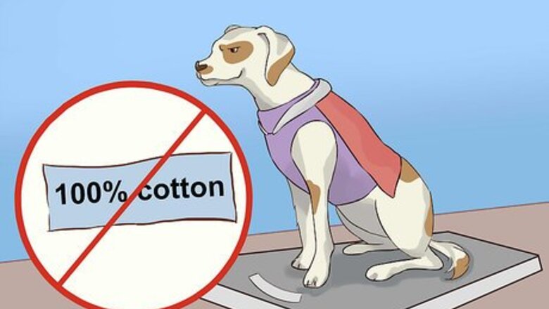 How to Choose a Halloween Costume for Your Dog