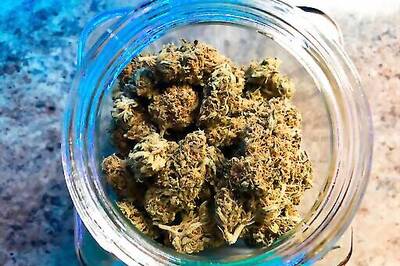 Legal Pot Growers Frustrated By Illegal Operations In Oregon