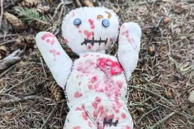 Couple Finds Voodoo Doll On Mountain Hike, Internet Divided If They Should Bring It Home